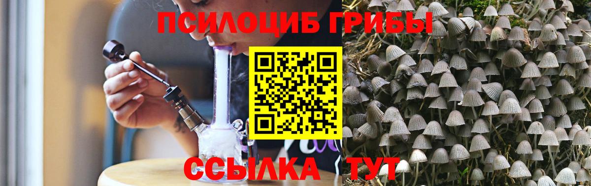 Тельмана  Галлюциногенные грибы Magic Shrooms  Вход с VPN 